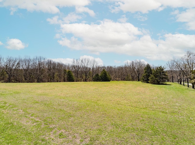 view of yard with a view of trees