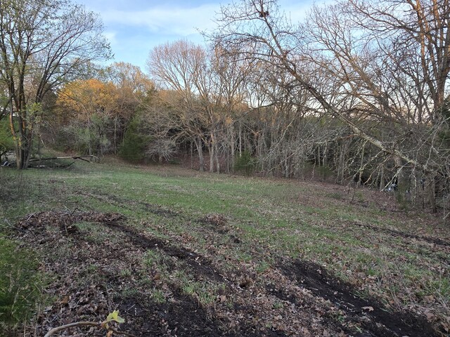 196 County Road 131, Wasola, MO 65773 - photo 22