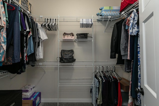 view of walk in closet