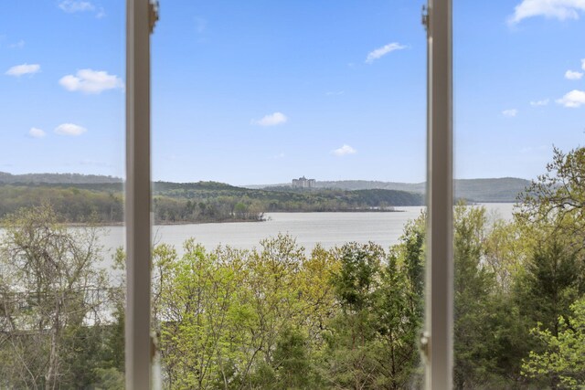 611 Rock Ln Unit 402, Branson, MO 65616 - property view of water