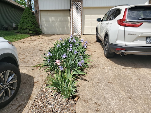 garage featuring driveway
