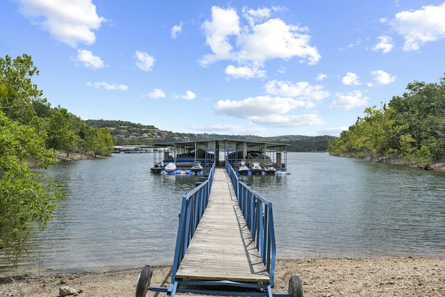 dock area with a water view
