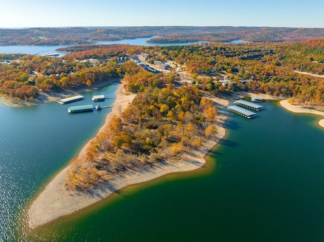 birds eye view of property featuring a view of trees and a water view