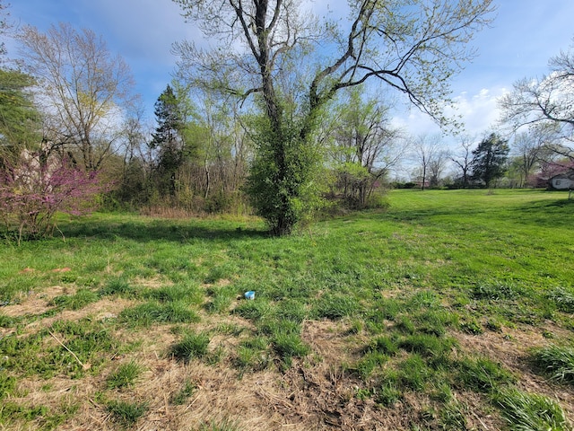 350 Kentling Ave, Highlandville, MO 65669 - view of yard