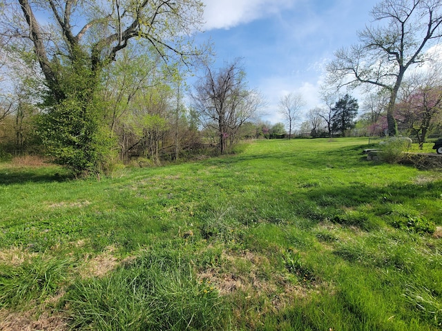 350 Kentling Ave, Highlandville, MO 65669 - view of yard