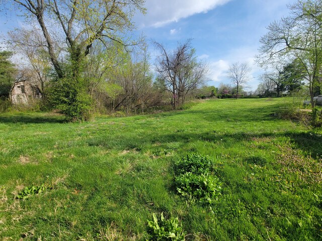 350 Kentling Ave, Highlandville, MO 65669 - view of yard