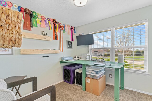 715 Woodlawn St, Marshfield, MO 65706 - carpeted home office featuring baseboards and a textured ceiling