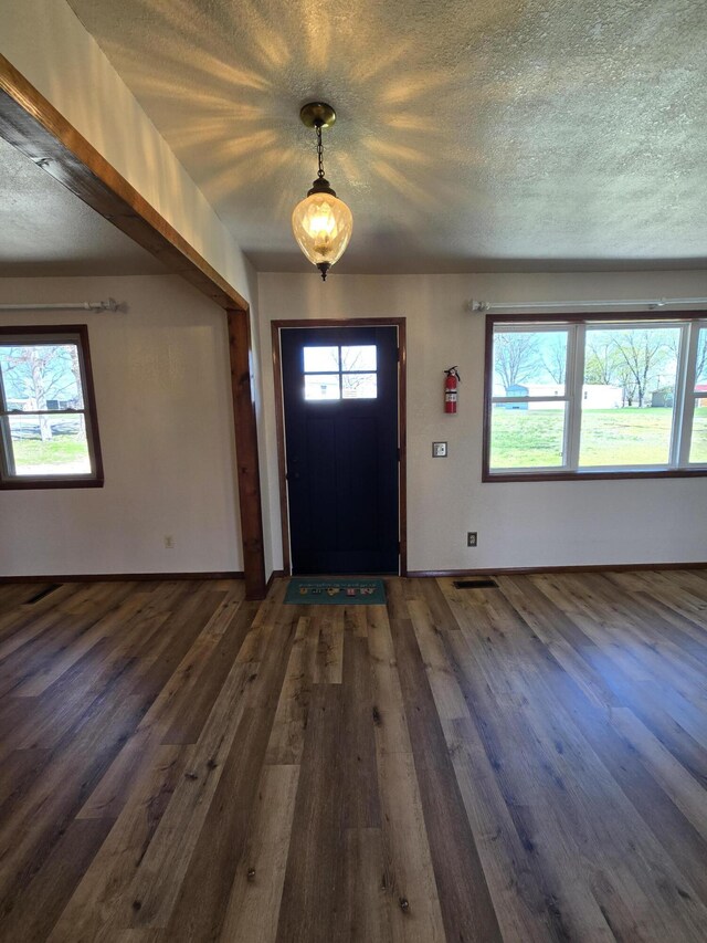 21282 County Road 295, Hermitage, MO 65668 - foyer entrance with dark wood finished floors, a textured ceiling, and visible vents