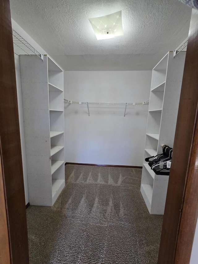 21282 County Road 295, Hermitage, MO 65668 - spacious closet featuring carpet floors