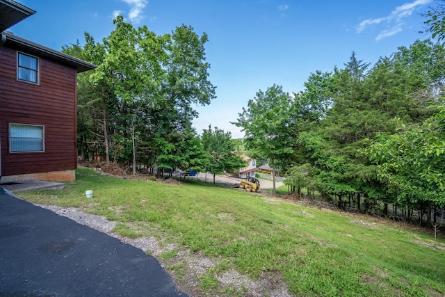 205 Forest Ln, Kimberling City, MO 65686 - view of grassy yard