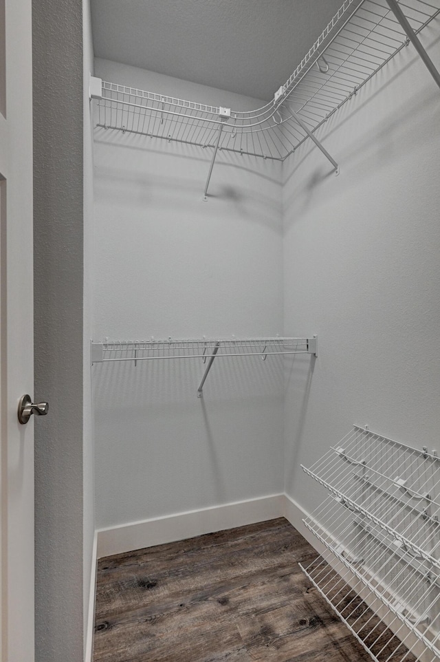 spacious closet featuring dark wood-style flooring