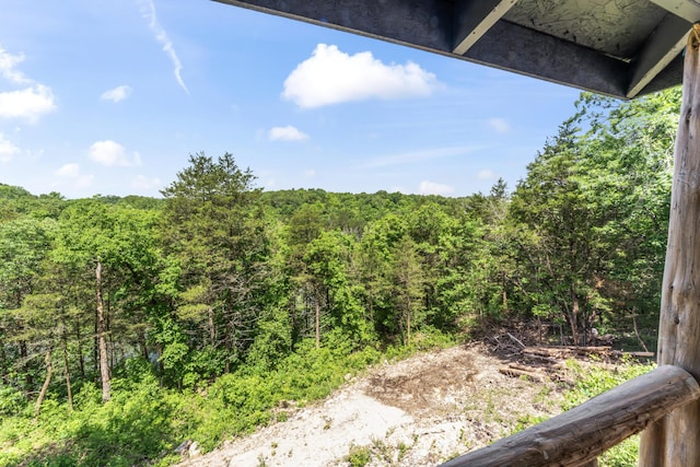 27857 Farm Rd Unit 1250, Golden, MO 65658 - view of woods