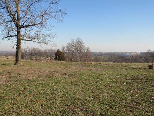 view of yard with a rural view