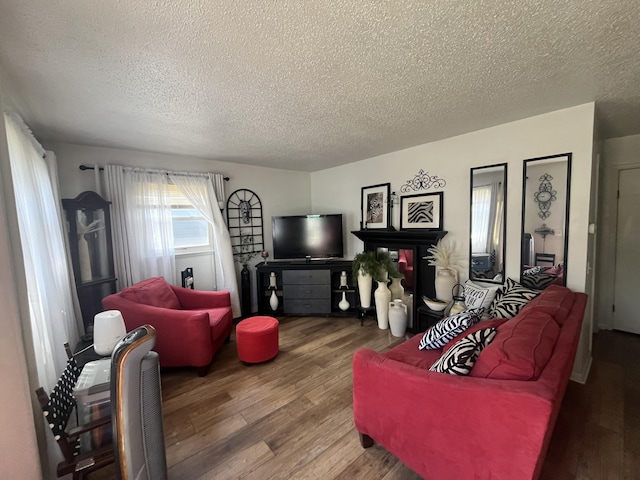 1131 Polk St, Warsaw, MO 65355 - living room featuring wood finished floors and a textured ceiling