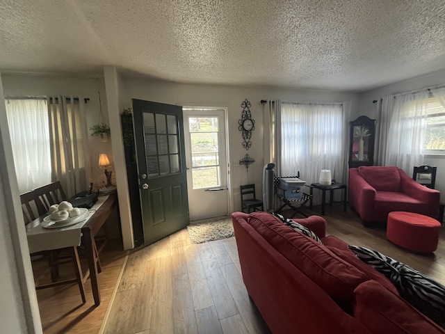 1131 Polk St, Warsaw, MO 65355 - living area featuring light wood-style flooring, a textured ceiling, and a healthy amount of sunlight
