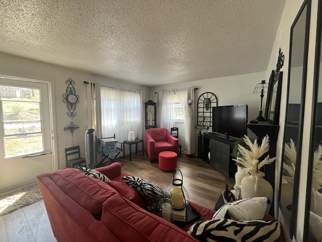 1131 Polk St, Warsaw, MO 65355 - living room with wood finished floors and a textured ceiling