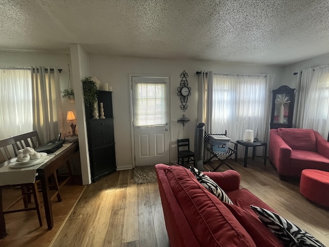 1131 Polk St, Warsaw, MO 65355 - living area featuring wood finished floors and a textured ceiling