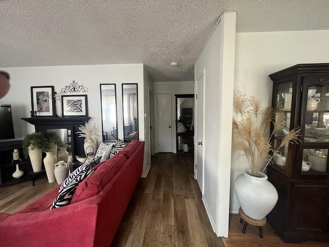 1131 Polk St, Warsaw, MO 65355 - living area featuring a textured ceiling and wood finished floors