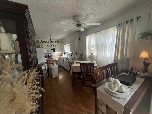 1131 Polk St, Warsaw, MO 65355 - dining room featuring ceiling fan, a textured ceiling, and dark wood finished floors