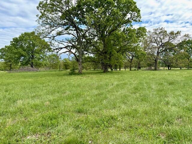 1005 County Road 3030, Mountain View, MO 65548 - view of yard