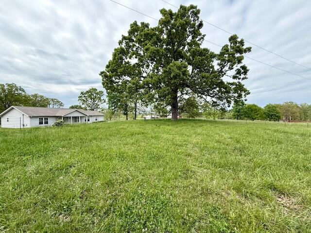 1005 County Road 3030, Mountain View, MO 65548 - view of yard