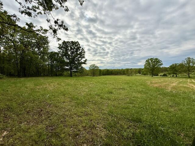 1005 County Road 3030, Mountain View, MO 65548 - view of local wilderness