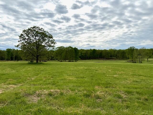 1005 County Road 3030, Mountain View, MO 65548 - view of tree filled area featuring a view of countryside