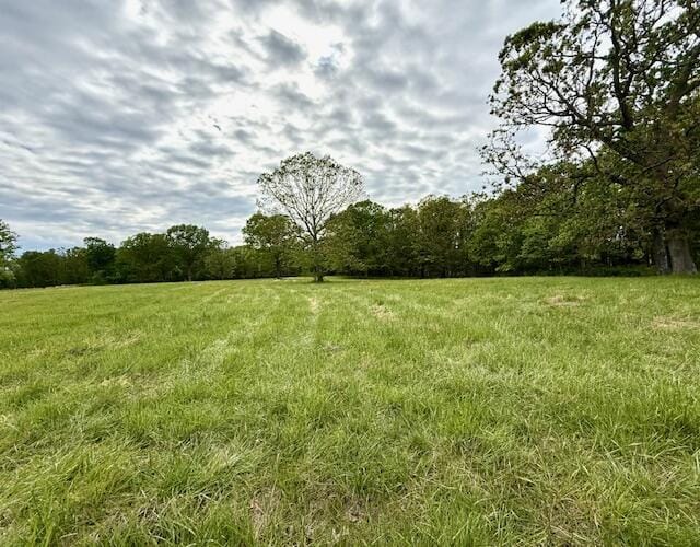 1005 County Road 3030, Mountain View, MO 65548 - view of yard with a view of trees and a view of rural / pastoral area