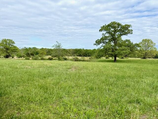 1005 County Road 3030, Mountain View, MO 65548 - view of undeveloped land