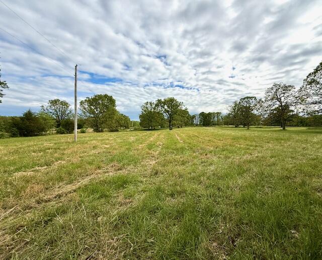 1005 County Road 3030, Mountain View, MO 65548 - view of undeveloped land