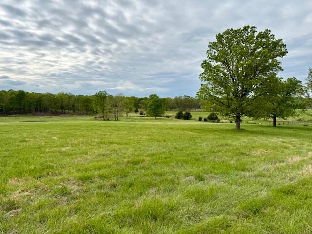1005 County Road 3030, Mountain View, MO 65548 - view of green lawn with a view of rural / pastoral area