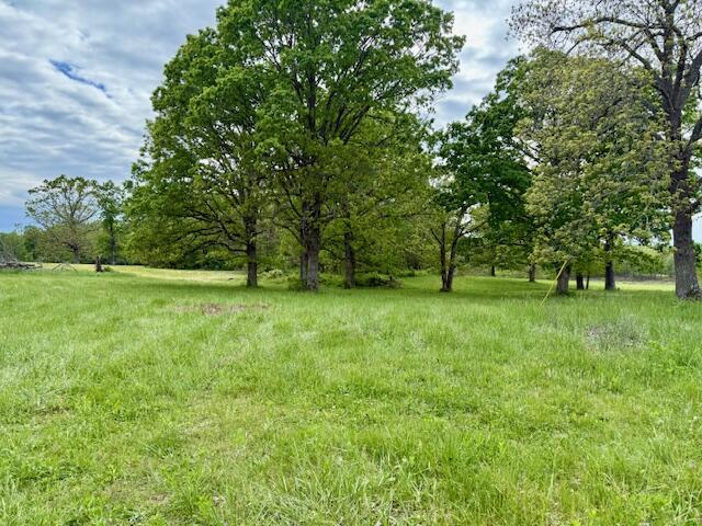1005 County Road 3030, Mountain View, MO 65548 - view of yard