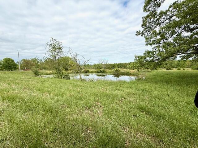 1005 County Road 3030, Mountain View, MO 65548 - view of undeveloped land featuring a nearby body of water
