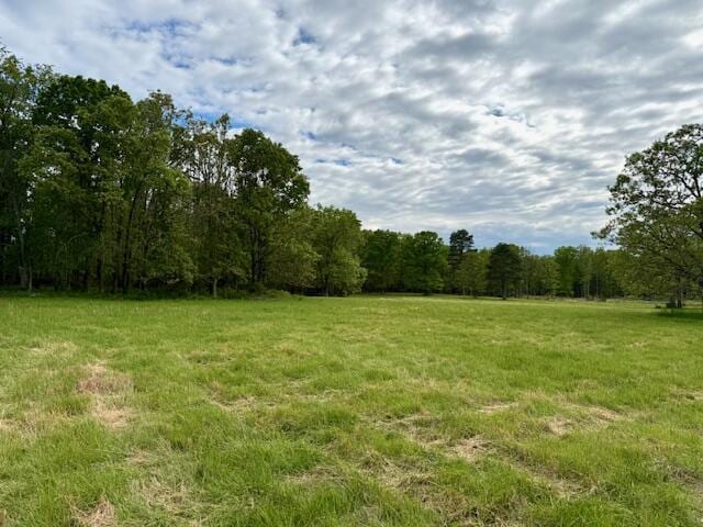 1005 County Road 3030, Mountain View, MO 65548 - view of tree filled area