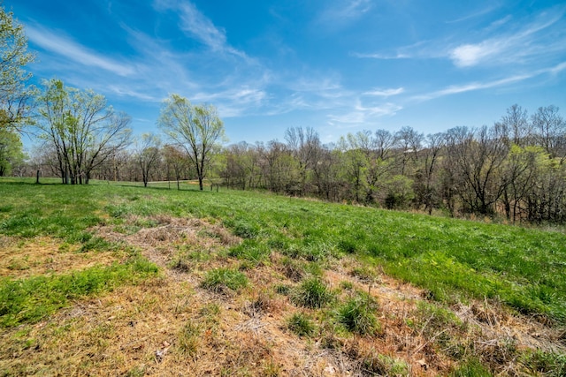 view of landscape featuring a rural view and a wooded view