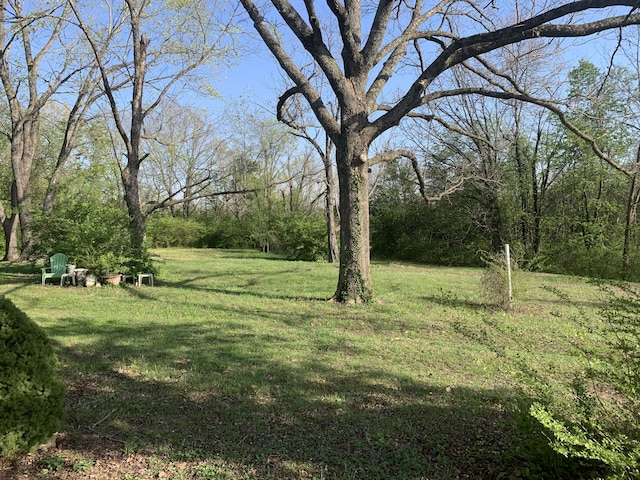 view of yard with a view of trees