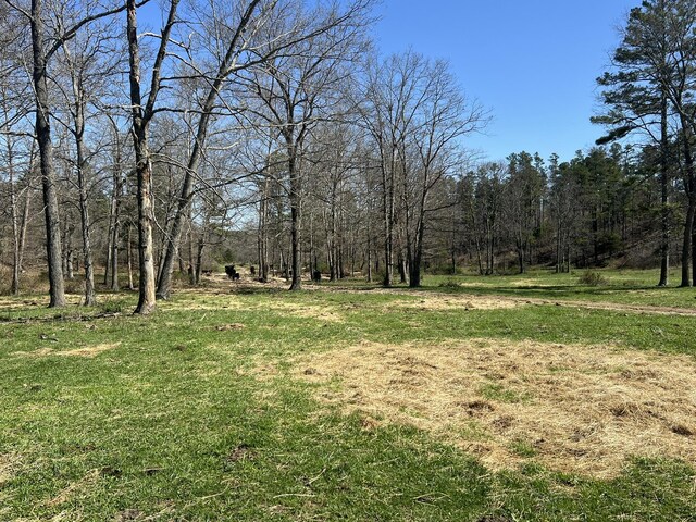000 County Road 1130, Willow Springs, MO 65793 - photo 32
