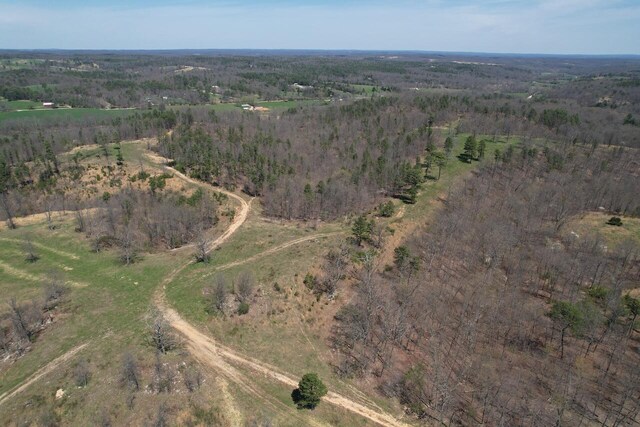 000 County Road 1130, Willow Springs, MO 65793 - photo 11