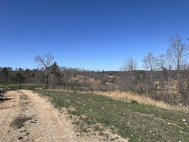 000 County Road 1130, Willow Springs, MO 65793 - photo 15