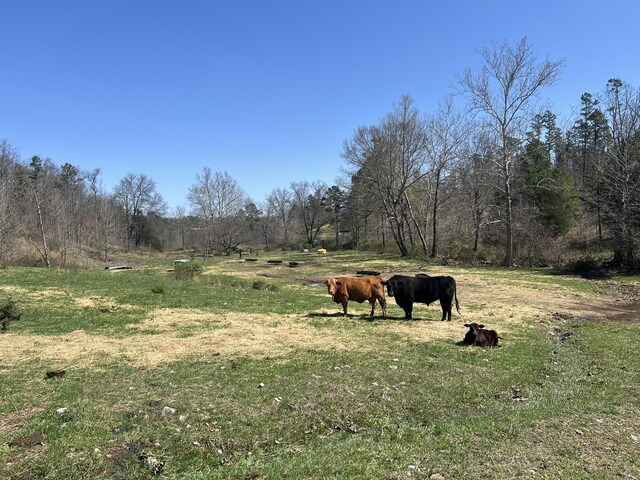 000 County Road 1130, Willow Springs, MO 65793 - photo 58