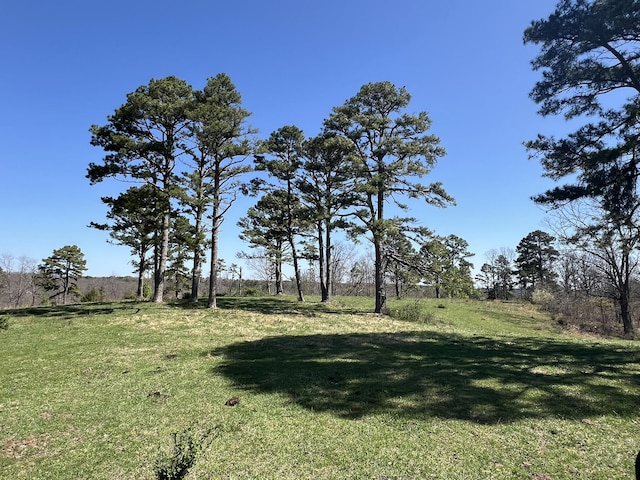 000 County Road 1130, Willow Springs, MO 65793 - photo 54
