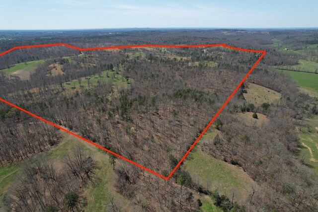000 County Road 1130, Willow Springs, MO 65793 - photo 17