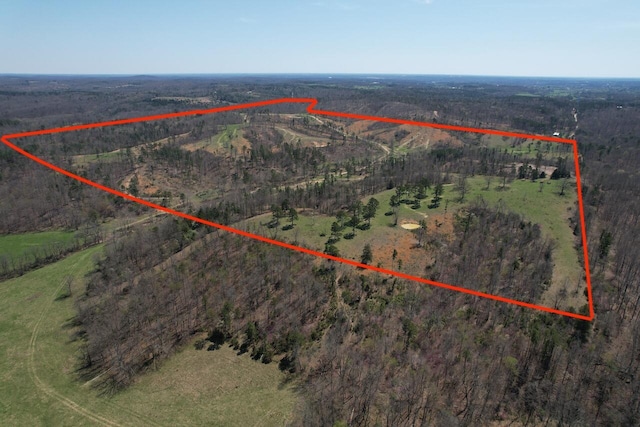 000 County Road 1130, Willow Springs, MO 65793 - photo 3
