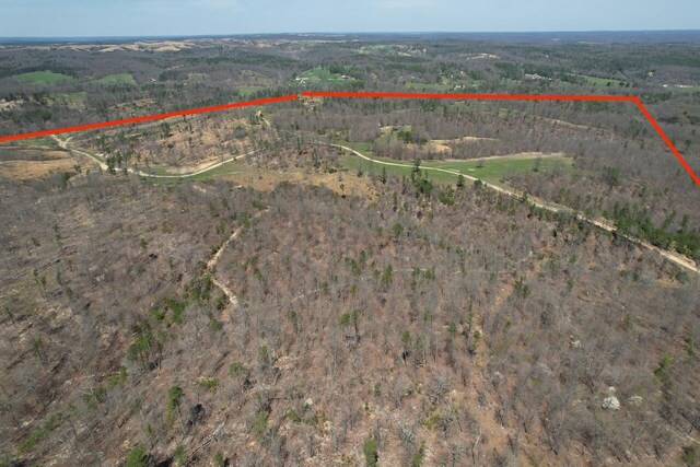 000 County Road 1130, Willow Springs, MO 65793 - photo 8