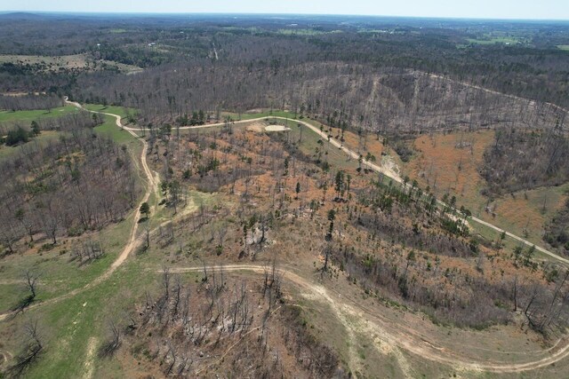 000 County Road 1130, Willow Springs, MO 65793 - photo 19