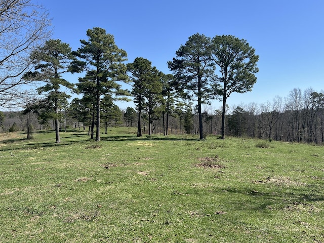 000 County Road 1130, Willow Springs, MO 65793 - photo 13