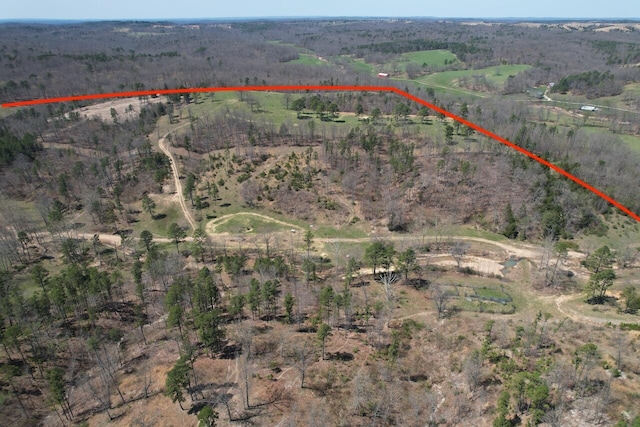 000 County Road 1130, Willow Springs, MO 65793 - photo 26