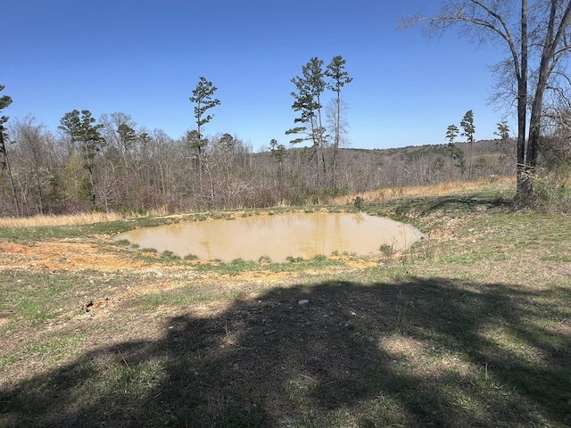 000 County Road 1130, Willow Springs, MO 65793 - photo 53