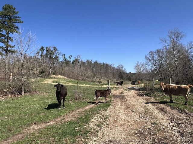 000 County Road 1130, Willow Springs, MO 65793 - photo 34