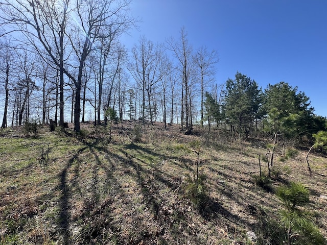000 County Road 1130, Willow Springs, MO 65793 - photo 12